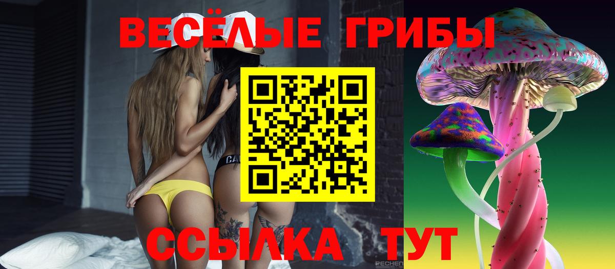 Псилоцибиновые грибы мицелий Аргун
